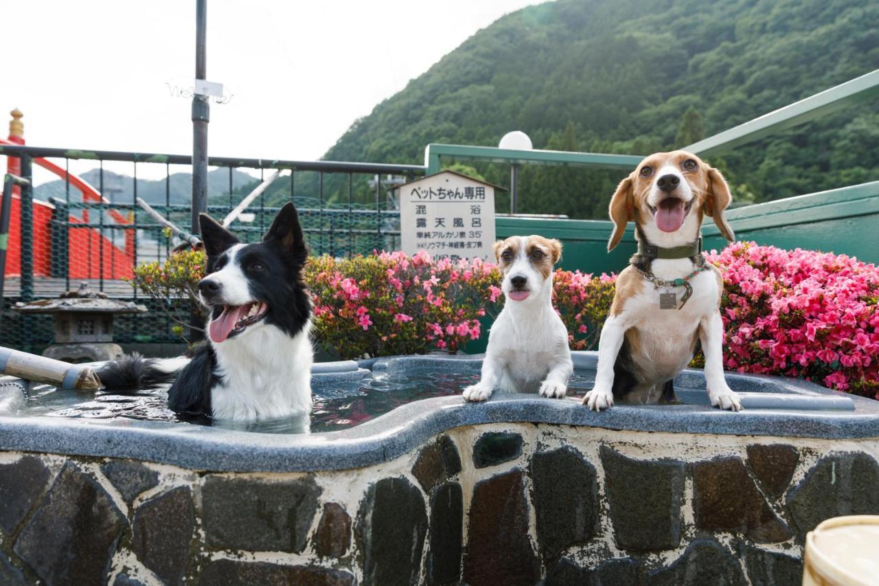 Kinugawa Kokusai Hotel Nikko Exteriér fotografie